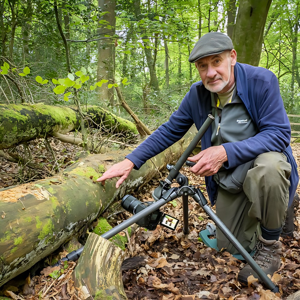 Barry Webb’s Macro Photos Reveal the Hidden, Colorful World of Slime Molds