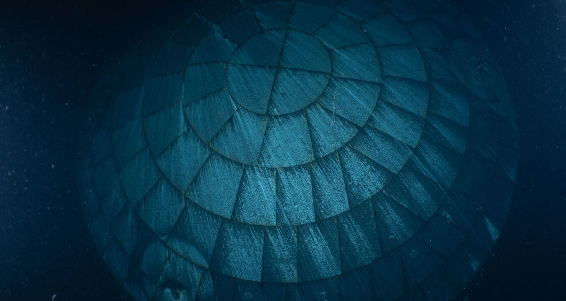 A close up of a circular heat shield made of interlocking rectangular components seen underwater.
