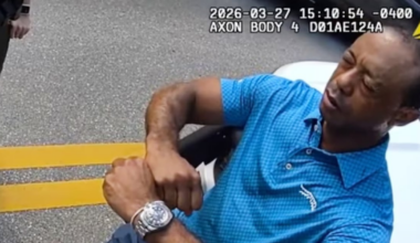 ‘I’m being arrested?’ – The Irish Times