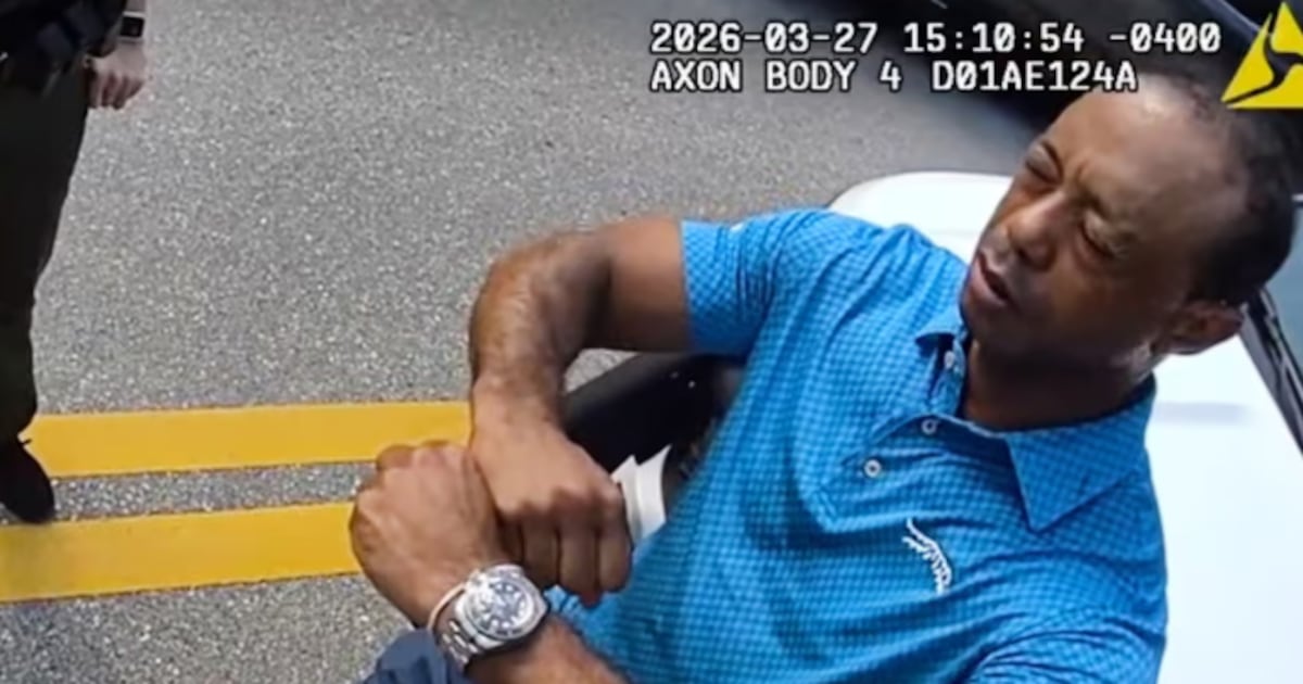 ‘I’m being arrested?’ – The Irish Times