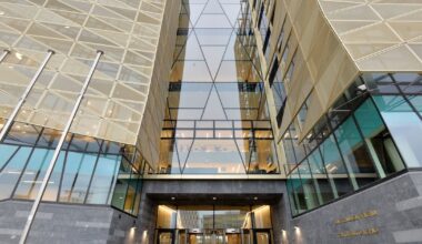High Court rebuke erodes central bank authority as its powers grow – The Irish Times