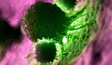 Personalized Vaccine For 'Deadliest Major Cancer' Keeps Patients Alive 6 Years Later : ScienceAlert