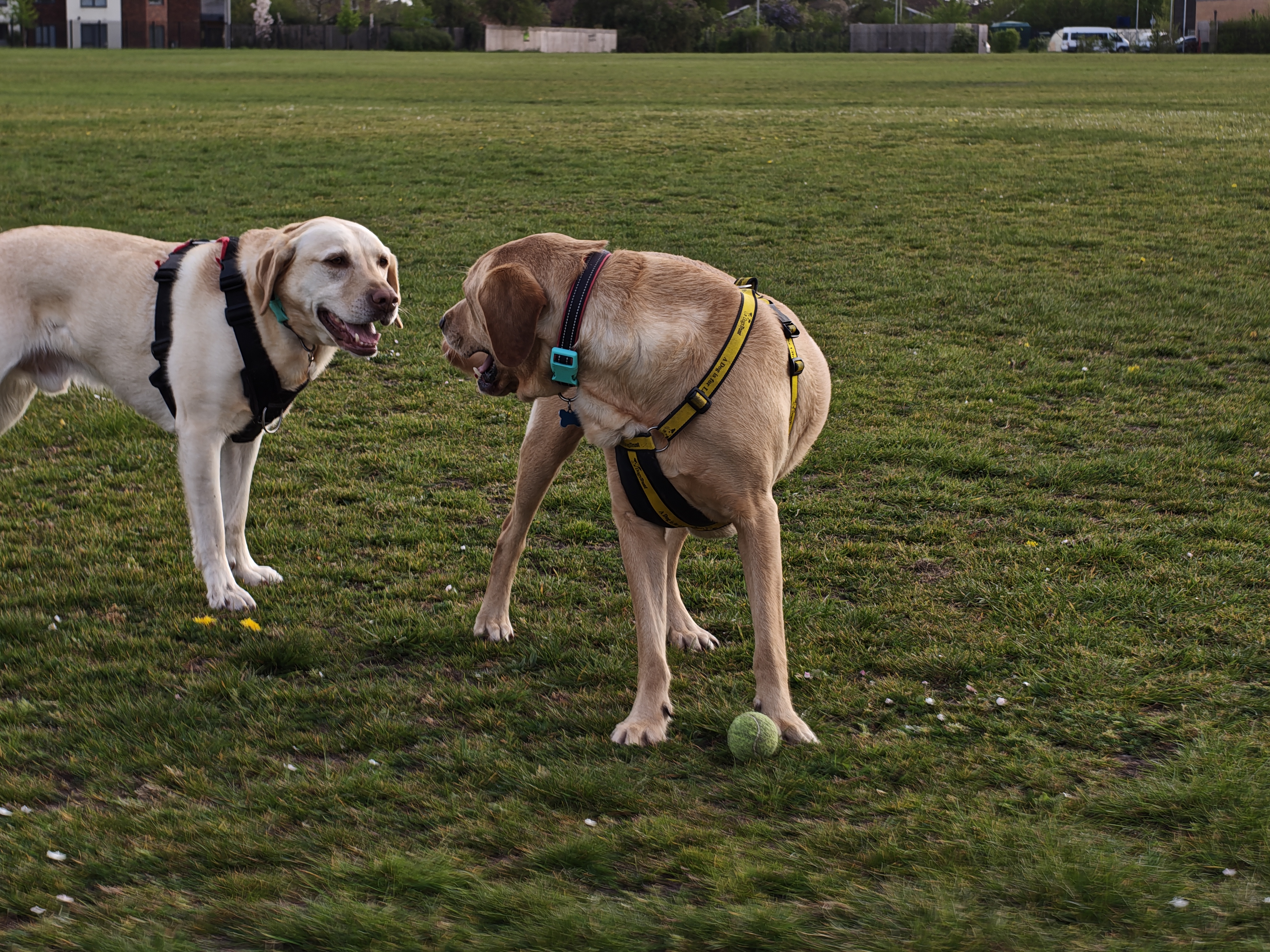 samsung galaxy a57 vs nothing phjone 4a pro