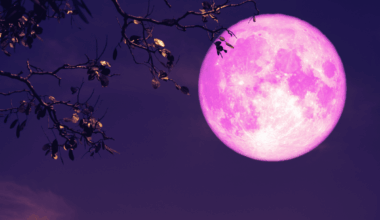 Don’t Miss The April 2026 Pink Moon A Must See Sky Event For Stargazers