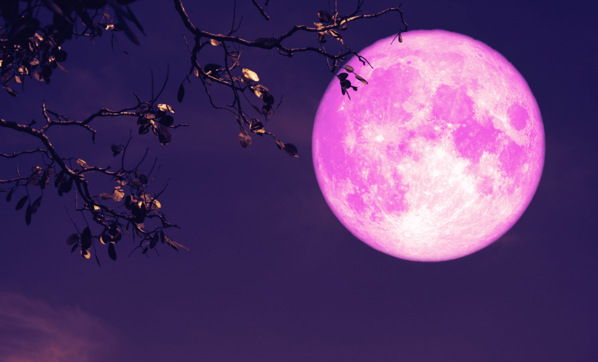 Don’t Miss The April 2026 Pink Moon A Must See Sky Event For Stargazers