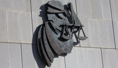 Developer assaulted three boys in ‘traumatic’ Sligo business park incident, court hears – The Irish Times