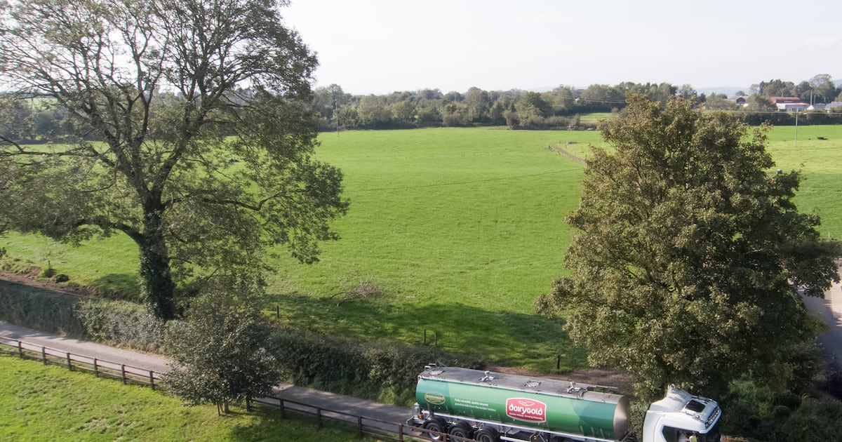 Tumbling milk prices hollow out Dairygold’s profits in 2025 – The Irish Times
