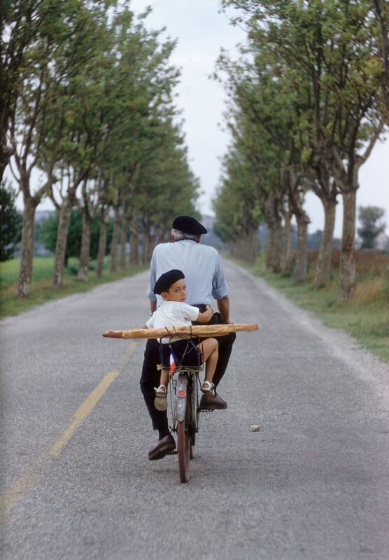 An adult and a child ride a bicycle down a tree-lined rural road. The adult pedals while the child sits on the rear seat, holding two long baguettes. The road is empty and flanked by evenly spaced trees.