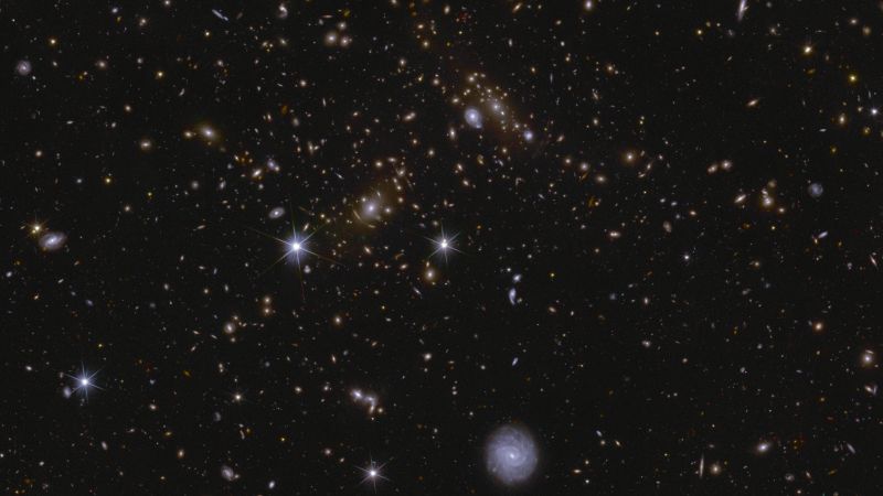 Black background with countless tiny glowing oblong and irregular shapes.