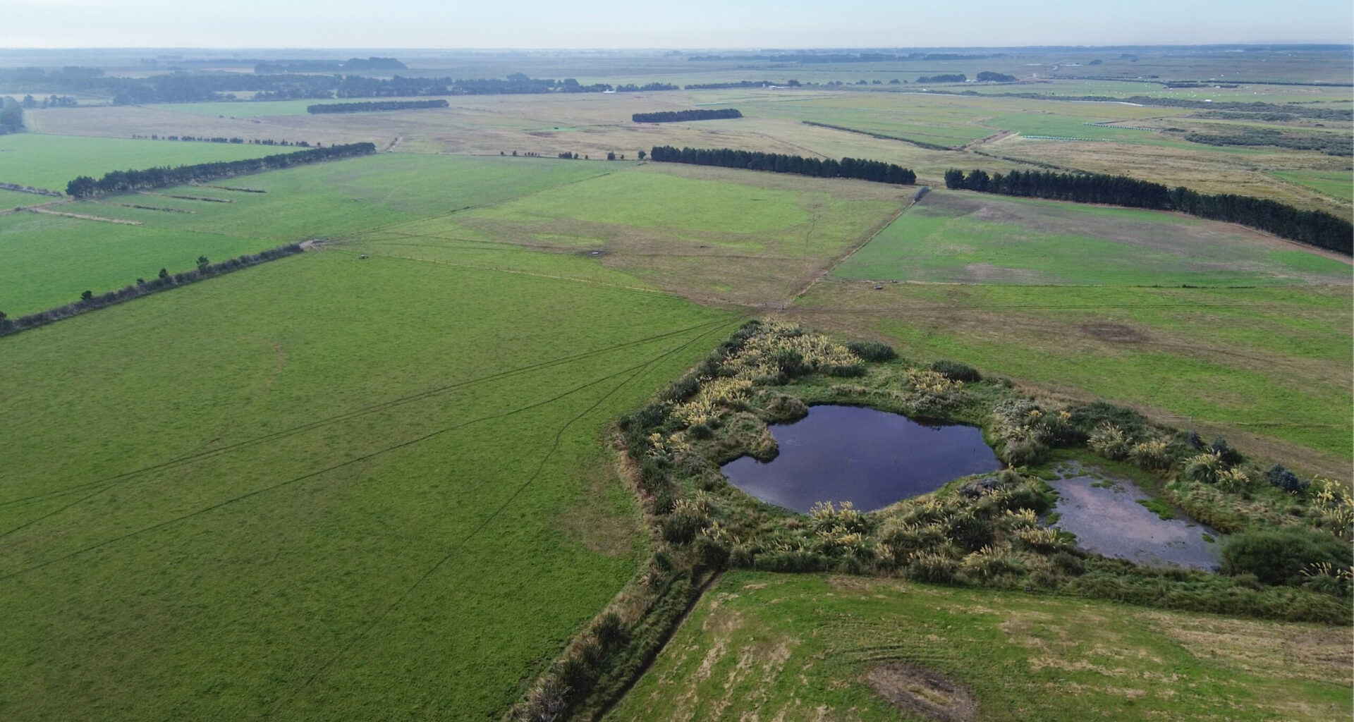 Southland holds firm amid economic tremors