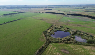 Southland holds firm amid economic tremors