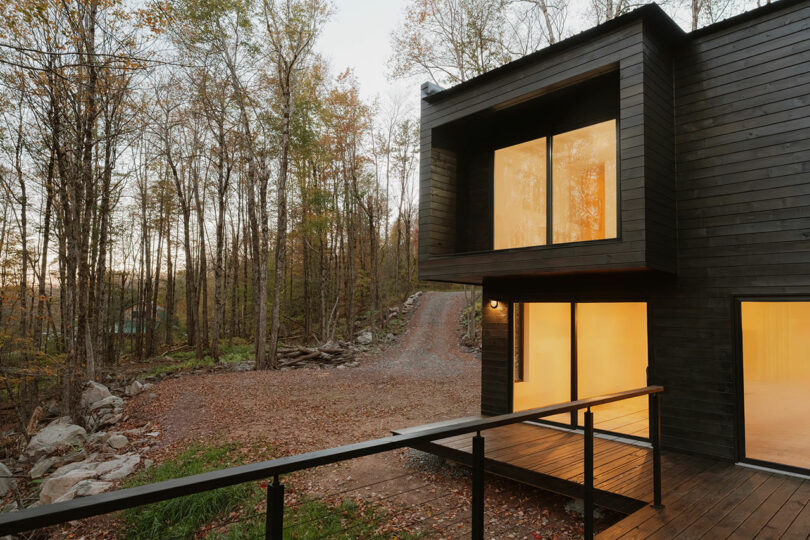 Modern black wooden house with large illuminated windows, surrounded by trees and fallen leaves, with a gravel driveway in the background.