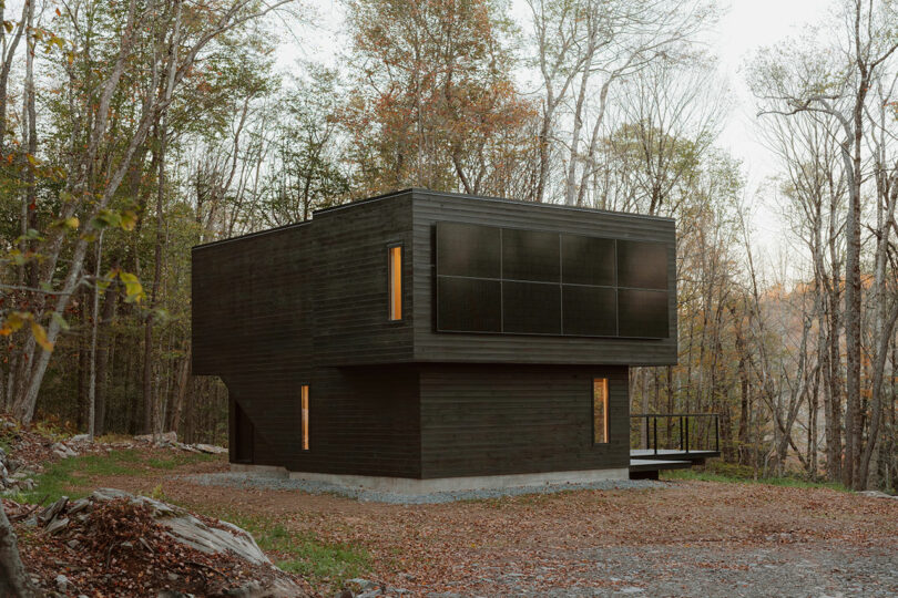 A modern, dark wood two-story house with large rectangular windows, set in a forested area with trees and fallen leaves around.