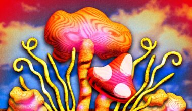 What Mushroom Supplements Can Do for Stress, Sleep, and Energy, According to Experts