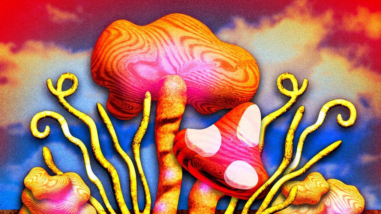 What Mushroom Supplements Can Do for Stress, Sleep, and Energy, According to Experts