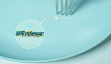 Kimchi-derived probiotic shows promise for nanoplastic elimination