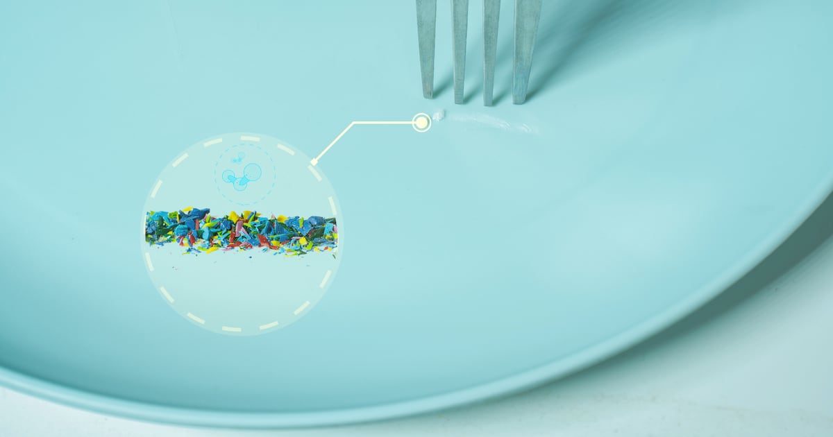 Kimchi-derived probiotic shows promise for nanoplastic elimination