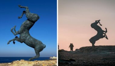 Article Featured Image