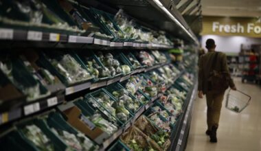 Don’t count on Starmer’s EU reset to bring down food prices – POLITICO