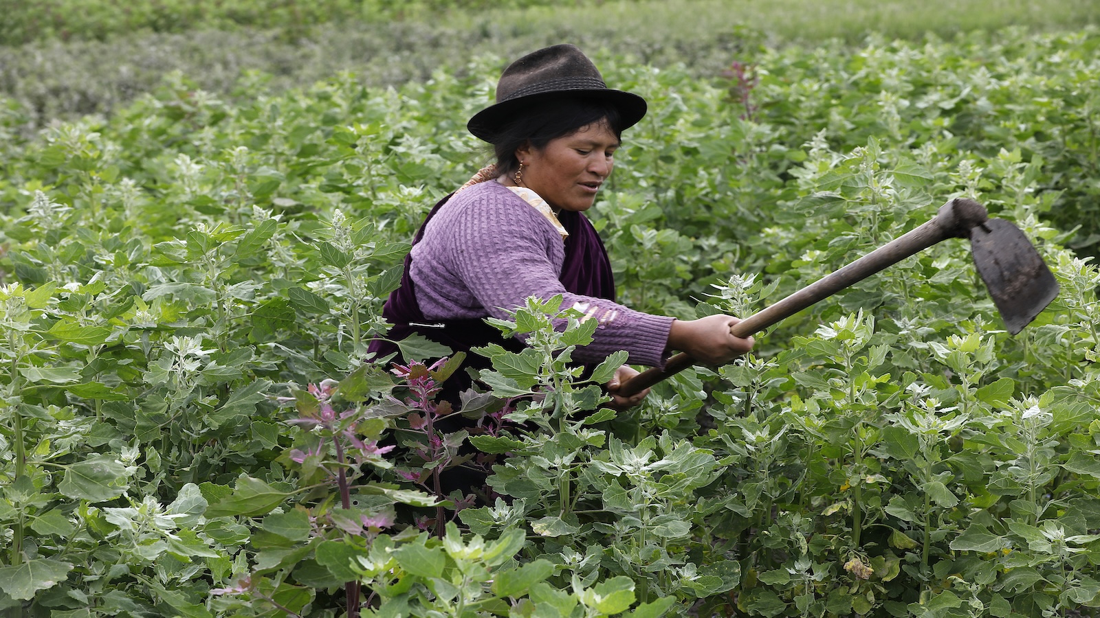 Woman working in field