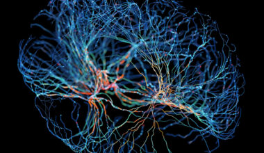 A complex blue, glowing web of connections on a black background.