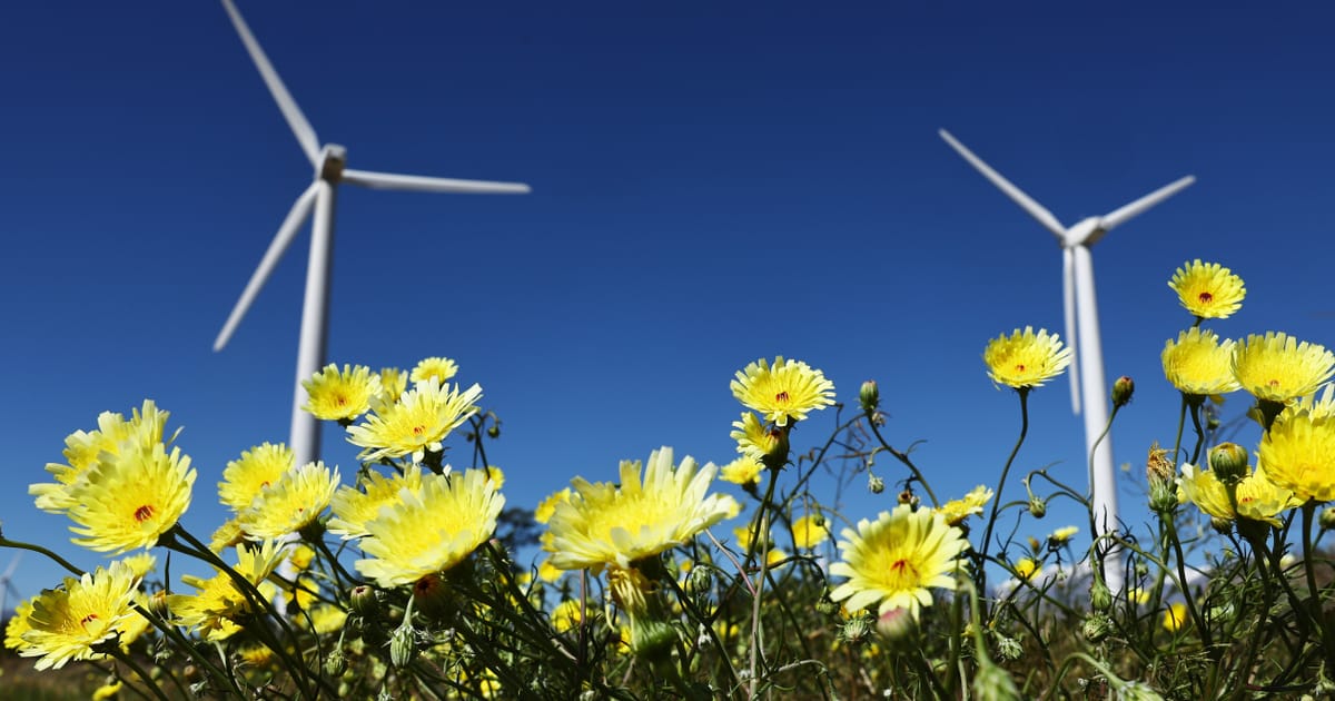 This spring has been a record season for renewables
