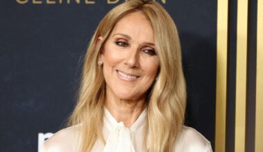 Celine Dion fans hopeless with over 1,000,000 stuck in the queue for Paris tickets