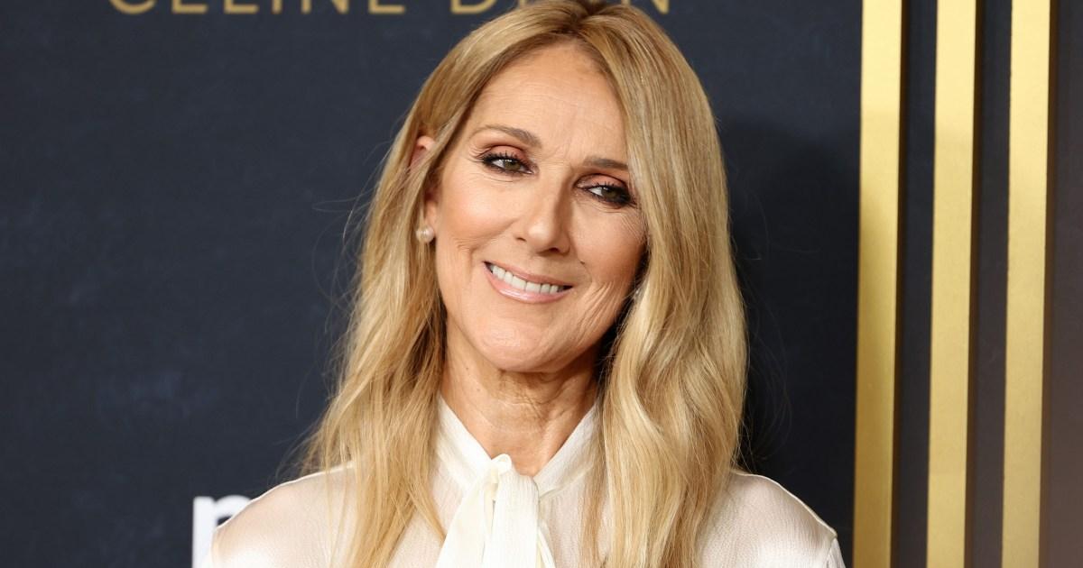Celine Dion fans hopeless with over 1,000,000 stuck in the queue for Paris tickets