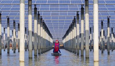 In 2025, renewable energy rivaled coal as the main source of electricity across the globe, according to the International Energy Agency.