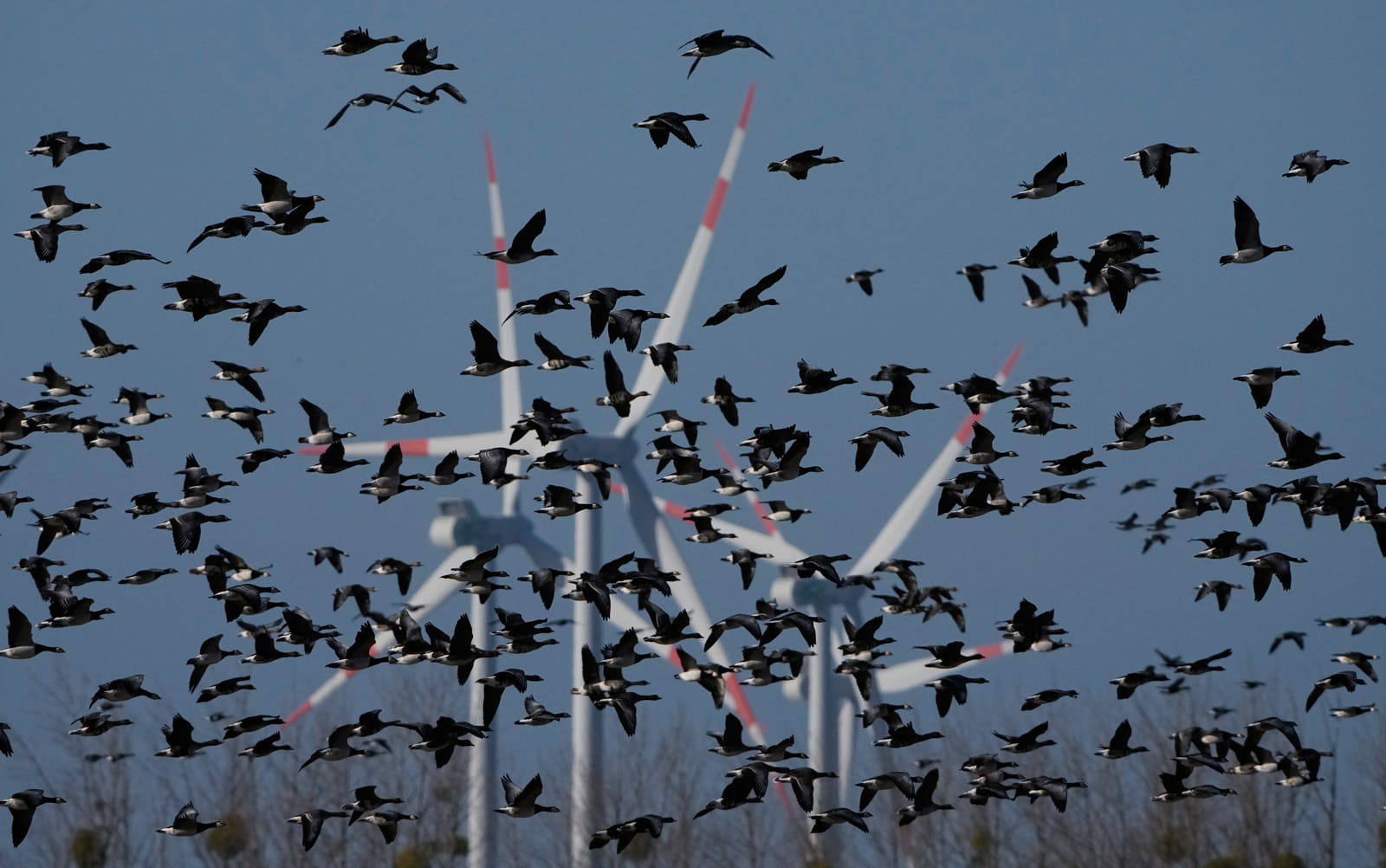The quiet contradiction at the heart of the energy transition