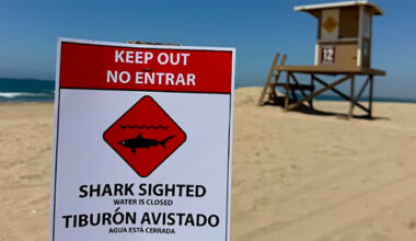 Shark's 'Aggressive Behavior' Shuts Down 2-Mile Stretch of Huntington Beach