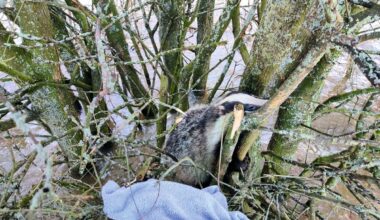 Credit: Louise McGowan