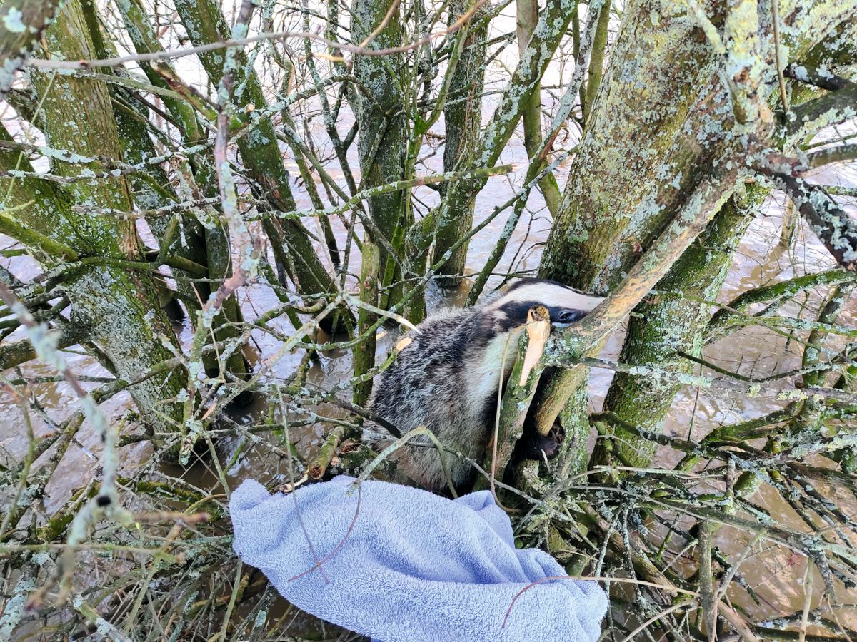 Credit: Louise McGowan