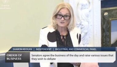 Keogan: Escort Ireland is ‘nothing short of mockery of our laws’