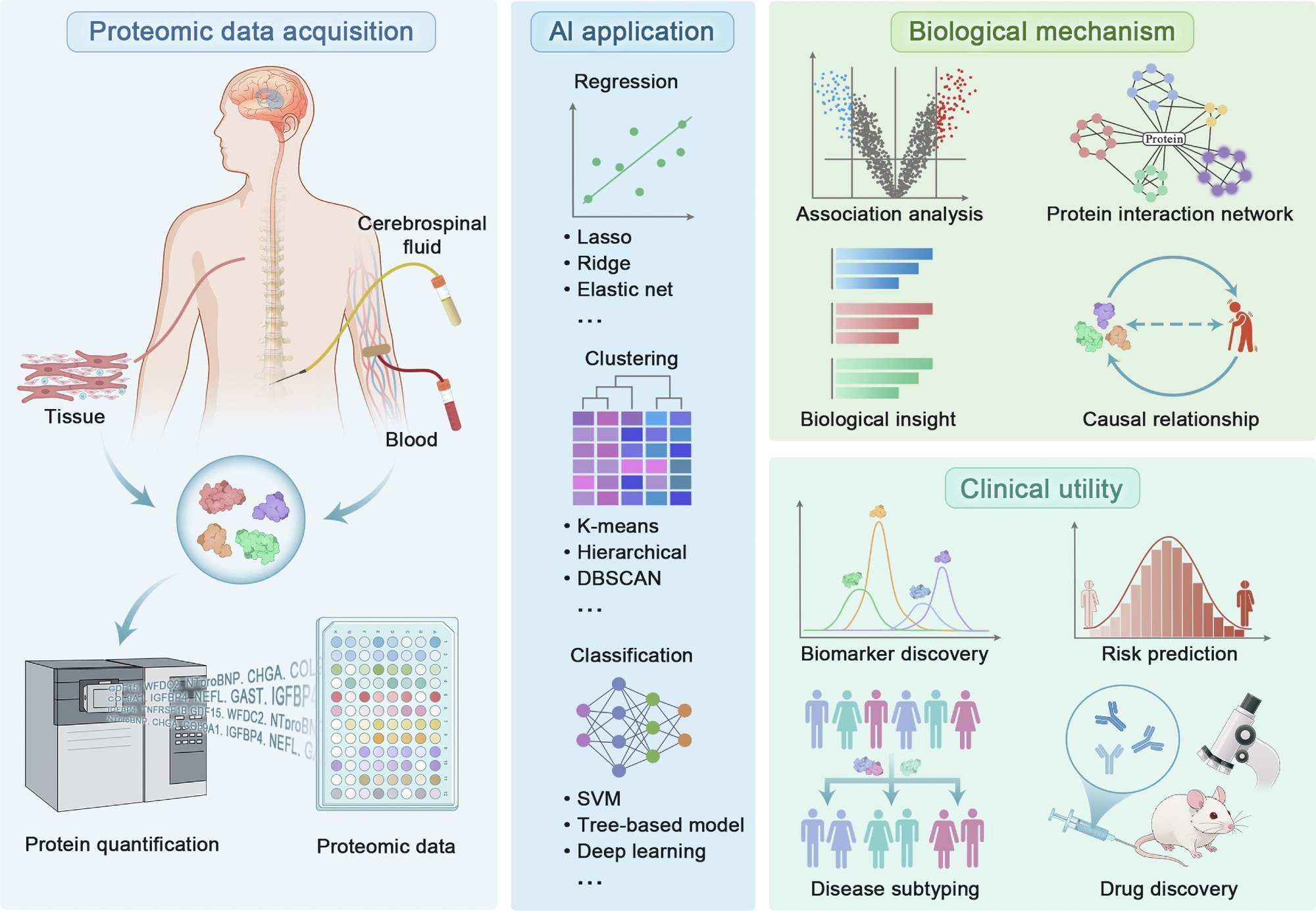 Proteomics analytical pipeline in precision medicine. Review: The emerging role of high-throughput proteomics in advancing precision medicine