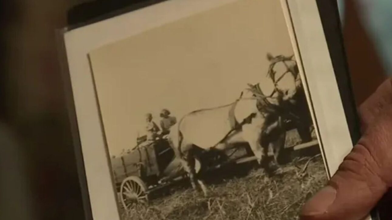 Farmer refuses $76 million to prevent data center and preserves farm in the USA with environmental agreement that ensures long-term rural use.