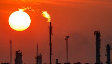 BAN vs NZ Live Score: Follow the latest updates from the second match (X/BCB)