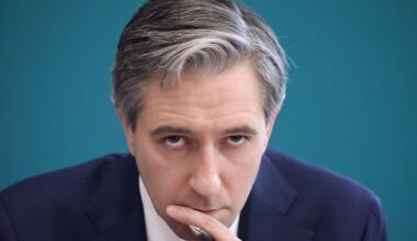 Simon Harris floats one-off payments for heat pumps and efficient cars – The Irish Times