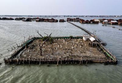Bamboo embankments and used tires protect a graveyard from rising waters in Java, Indonesia.