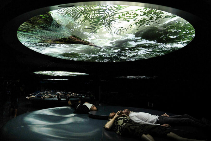 People lie on curved platforms beneath a large circular screen displaying a forest canopy, creating an immersive nature experience in a dark room.