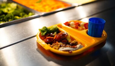 Hot meals oven fire prompted evacuation of primary school, inquiry hears – The Irish Times