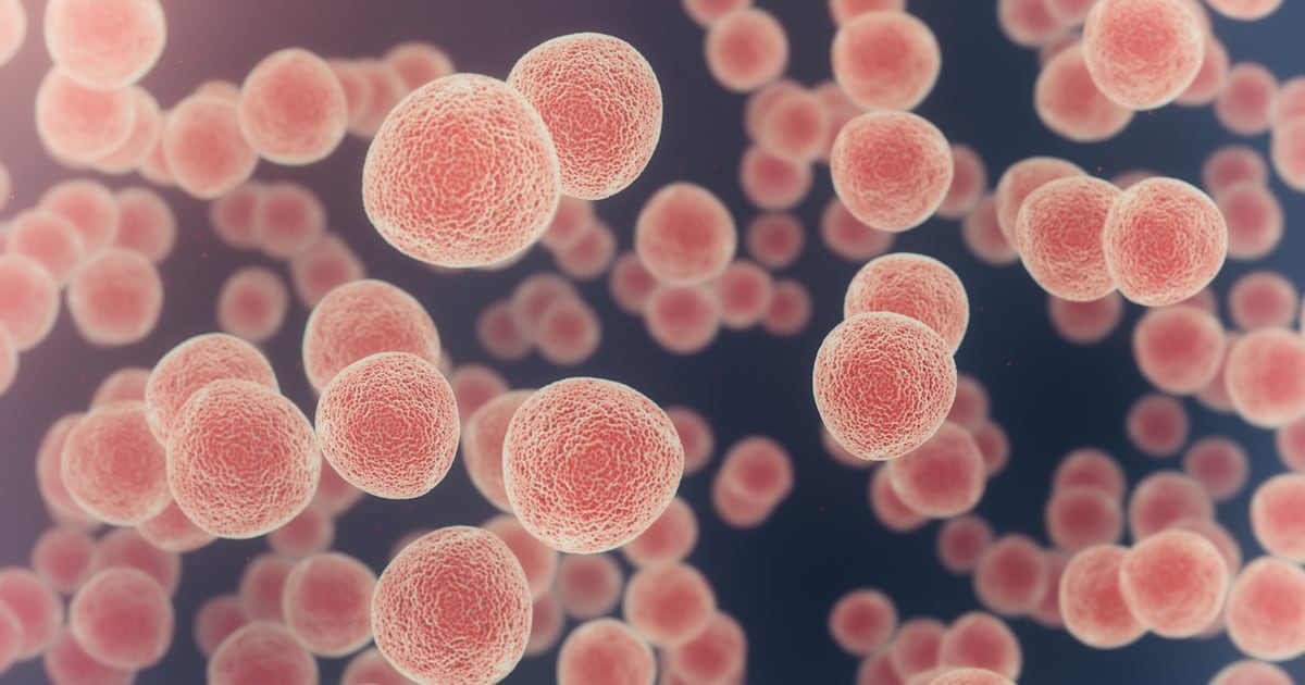 Sharp increase in sunburn among young adults sparks skin cancer concern – The Irish Times