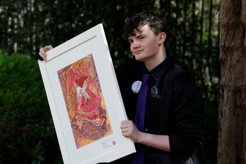 Blake O'Brien from Limerick won with his work called Year of the Bird. Photograph: Nick Bradshaw