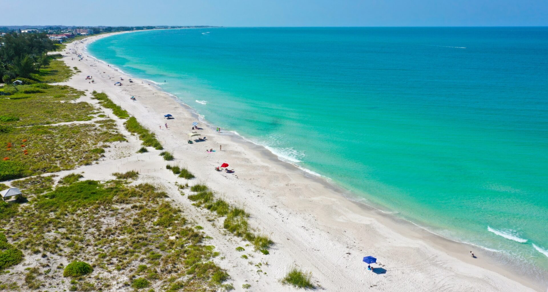 Scientists build 'living reefs' that protect coasts and keep growing