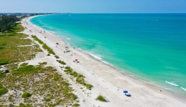 Scientists build 'living reefs' that protect coasts and keep growing