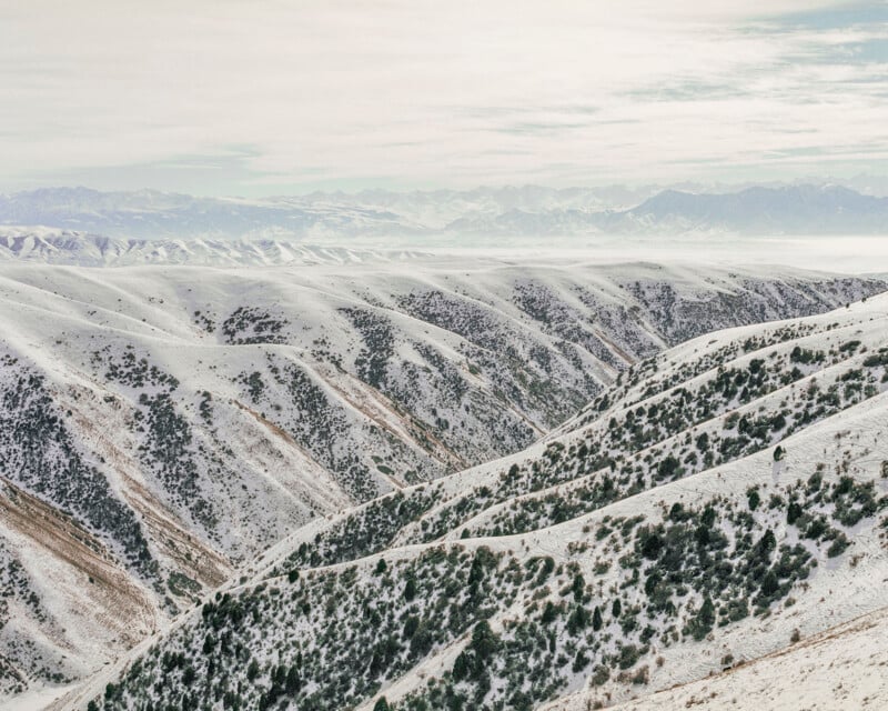 Snow-covered rolling hills with scattered evergreen trees, stretching into the distance under a cloudy sky, with faint mountains visible on the horizon.