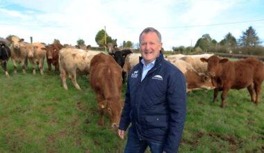 ‘Our €4.75 billion turnover makes us a big butcher’ – The Irish Times