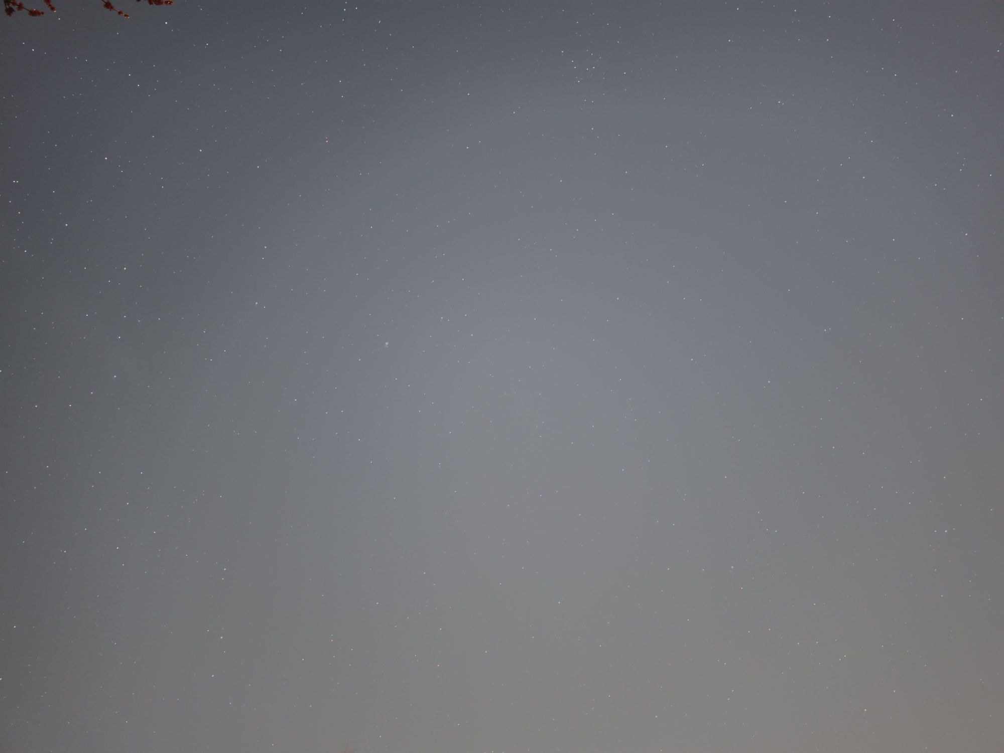 Samsung Galaxy S26 Ultra Expert RAW sample.