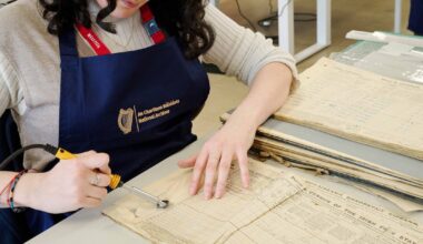 Independent Ireland and the 1926 Census – illuminating essays on our first count – The Irish Times