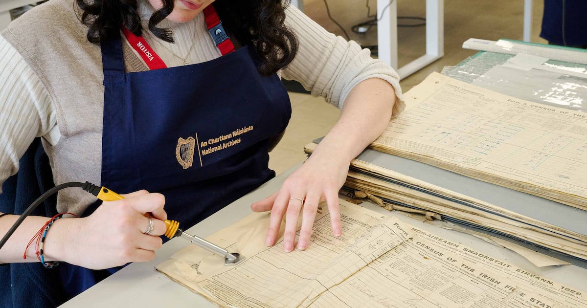 Independent Ireland and the 1926 Census – illuminating essays on our first count – The Irish Times